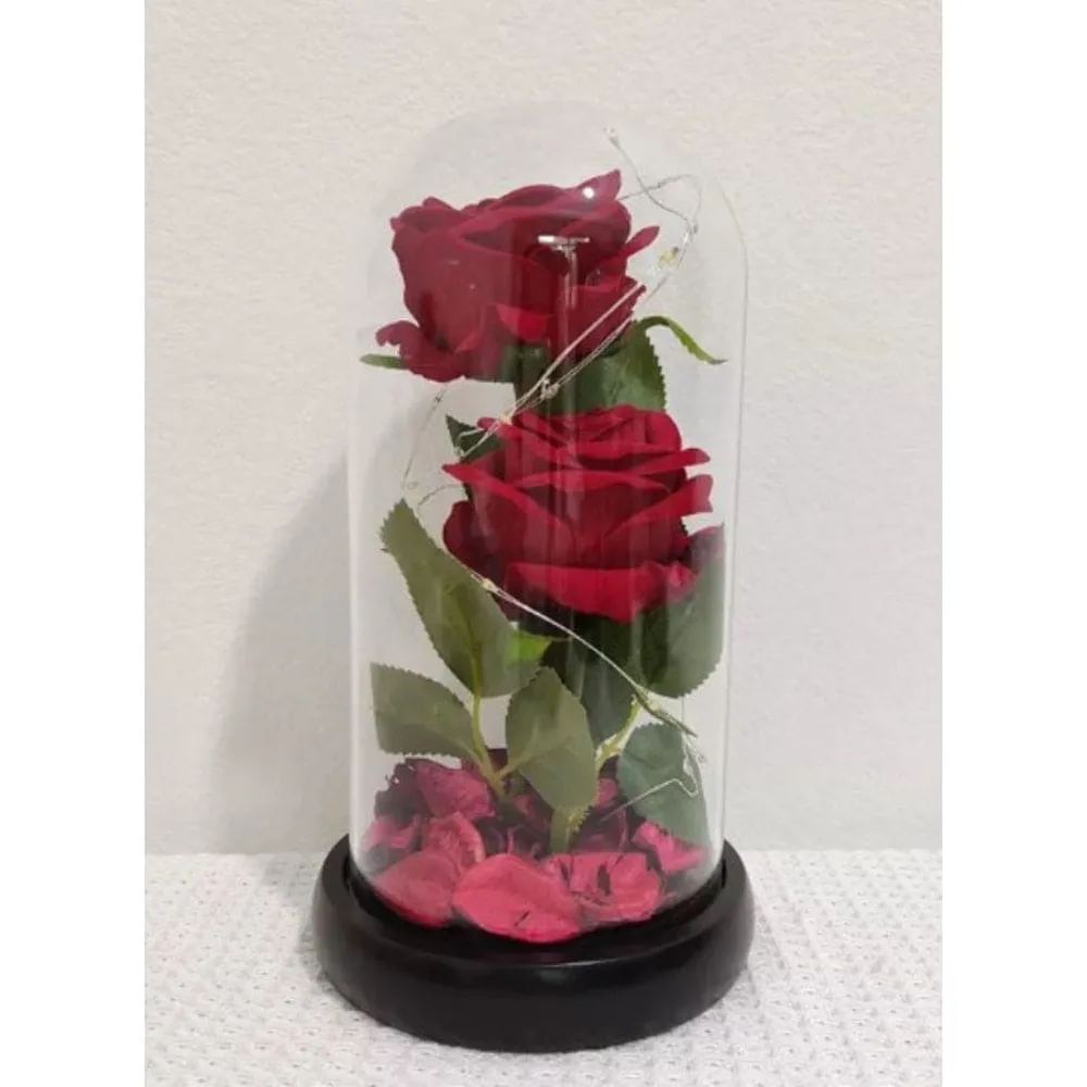 2 Roses in Glass Dome with LED Lights – Romantic Rose Gift with Warm White Light for Valentine's Day