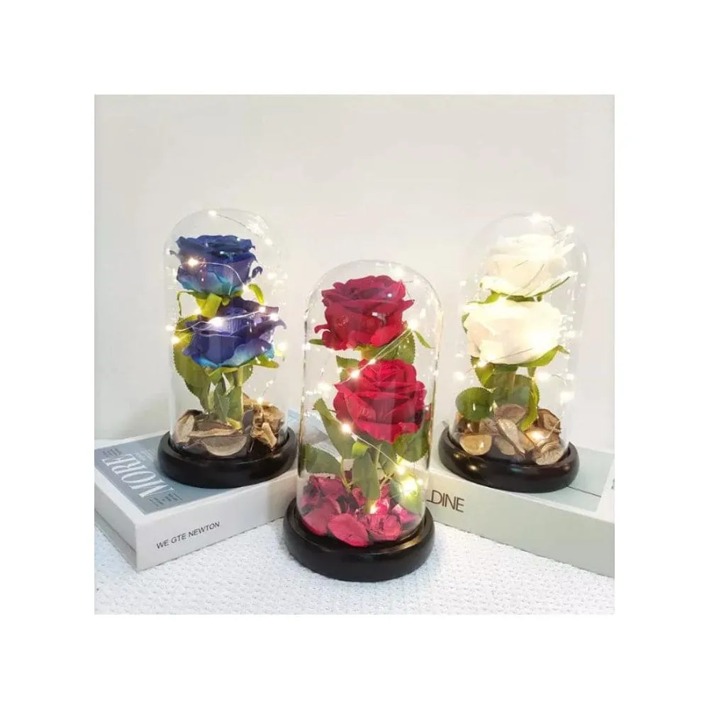 2 Roses in Glass Dome with LED Lights – Romantic Rose Gift with Warm White Light for Valentine's Day