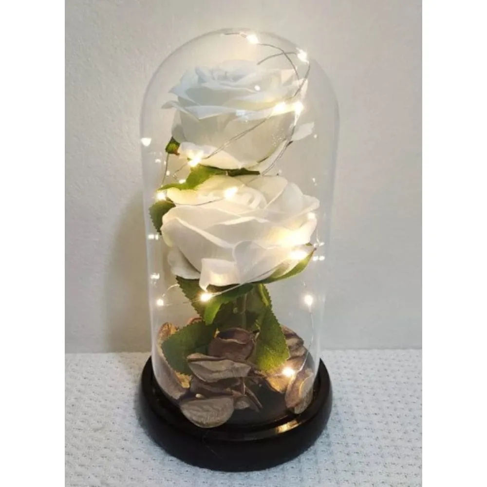 2 Roses in Glass Dome with LED Lights – Romantic Rose Gift with Warm White Light for Valentine's Day