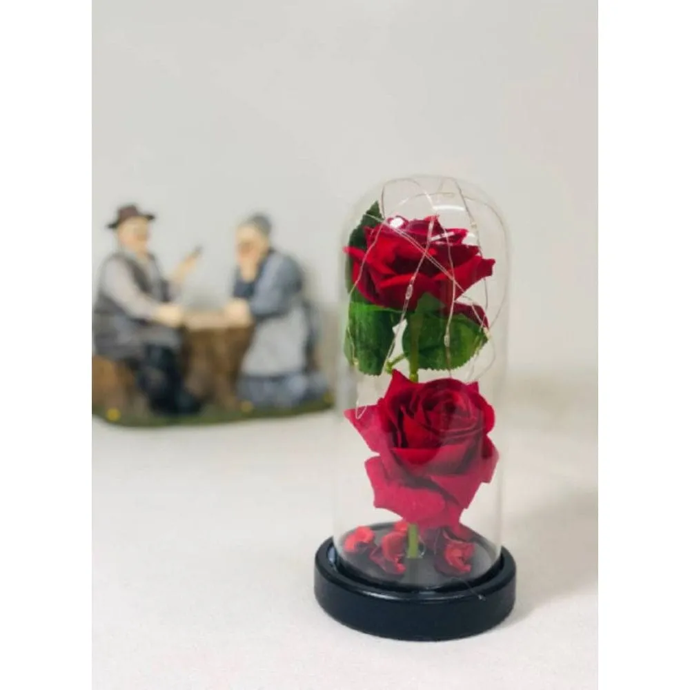 2 Roses in Glass Dome with LED Lights – Romantic Rose Gift with Warm White Light for Valentine's Day