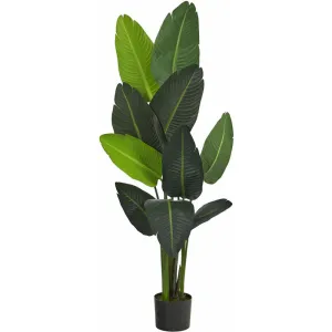 58in. Travelers Palm Artificial Tree