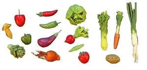 Assortment of Fresh Vegetables