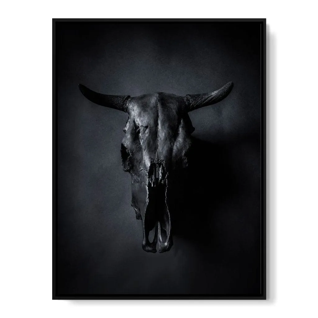 Black Bull Skull