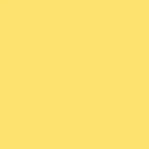 CB13-Y3 Sunflower