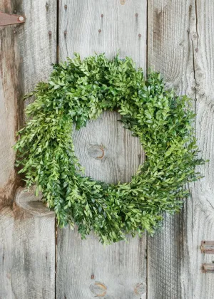 Classic Boxwood Holiday Wreath