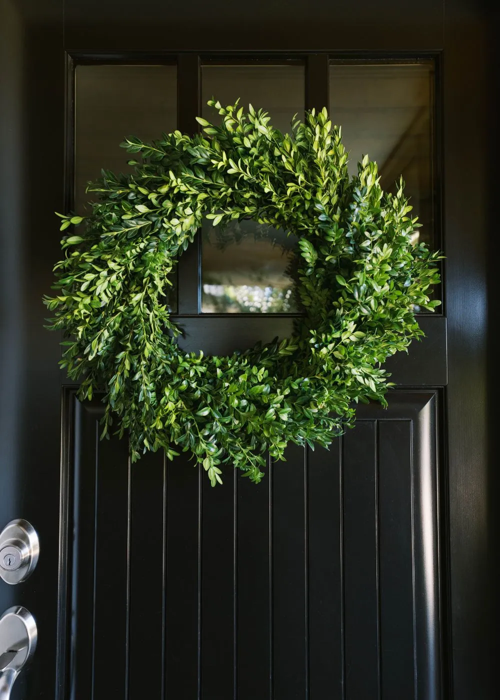Classic Boxwood Holiday Wreath