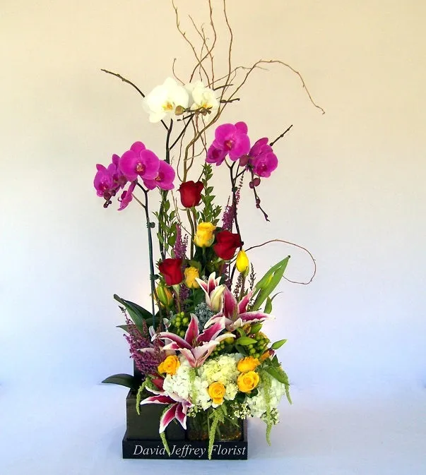 David Jeffrey's Love Story Orchids