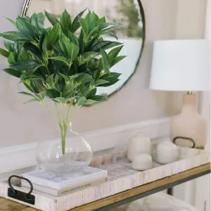 Evergreen Laurel Leaf Bunch