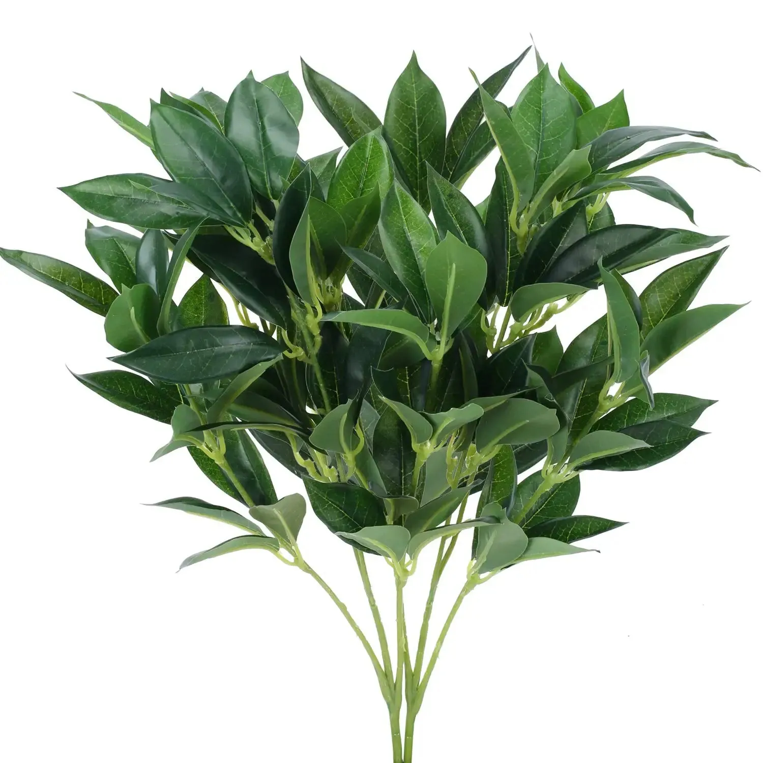 Evergreen Laurel Leaf Bunch