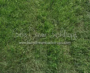 Fresh Spring Grass