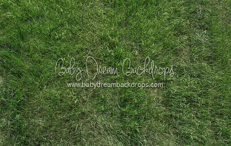 Fresh Spring Grass