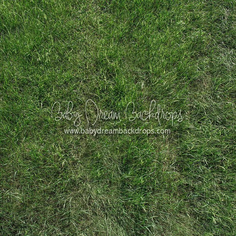 Fresh Spring Grass