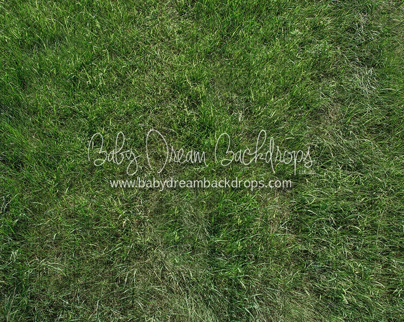 Fresh Spring Grass