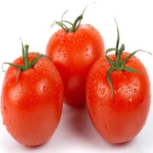 Fresh Tomatoes ~454g