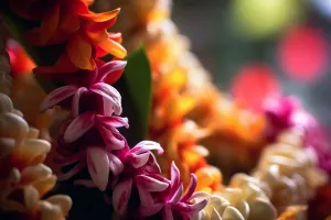 Hawaiian Lei Fragrance Oil