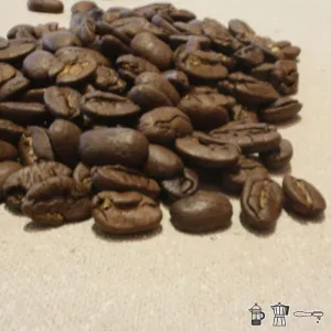 Nicaraguan Maragogype