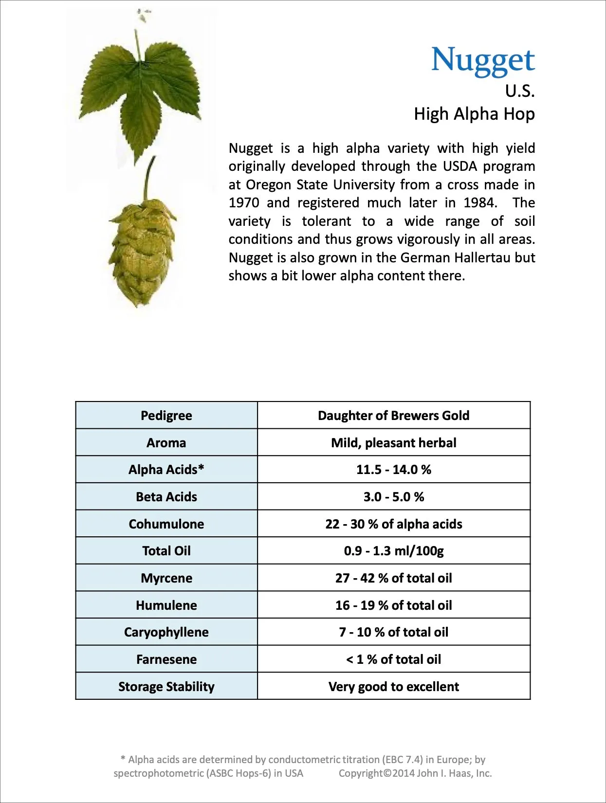 Nugget Hops
