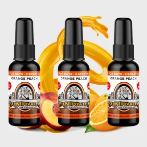 Orange Peach Air Freshener Bundle (3 Pack)