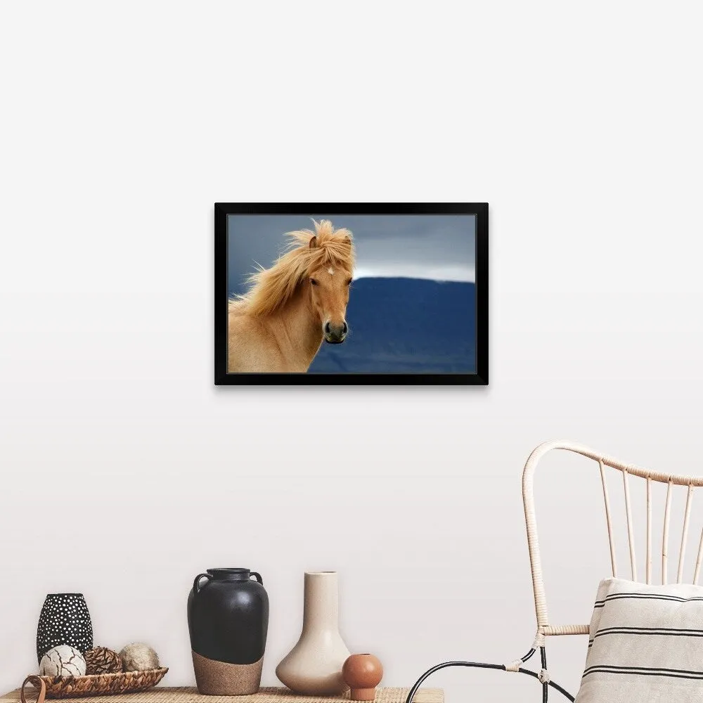 "An icelandic Horse waiting for the rain to come watching the dark skies." Black Framed Print