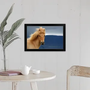 "An icelandic Horse waiting for the rain to come watching the dark skies." Black Framed Print
