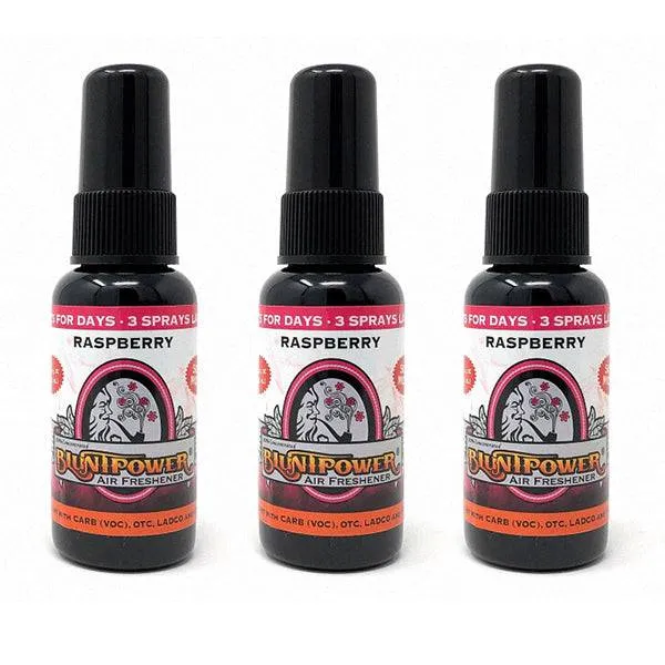 Raspberry Air Freshener Bundle (3 Pack)