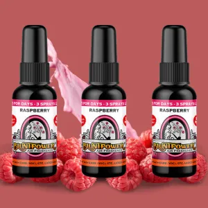 Raspberry Air Freshener Bundle (3 Pack)