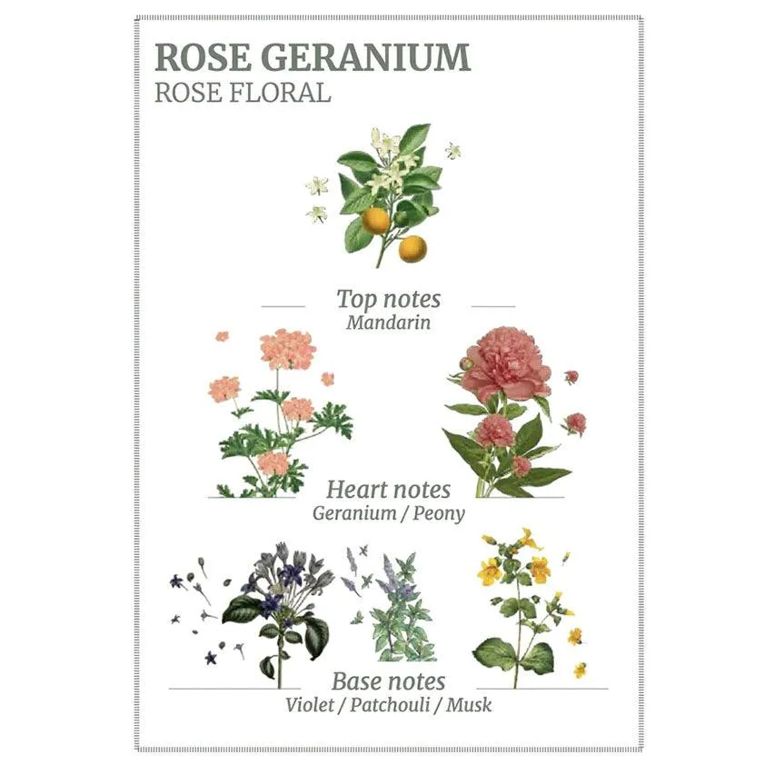 Rose Geranium Roll-On EDT