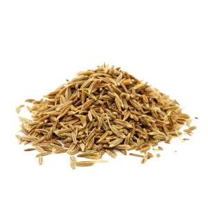 Spicy Cumin Single Note Fragrance Oil