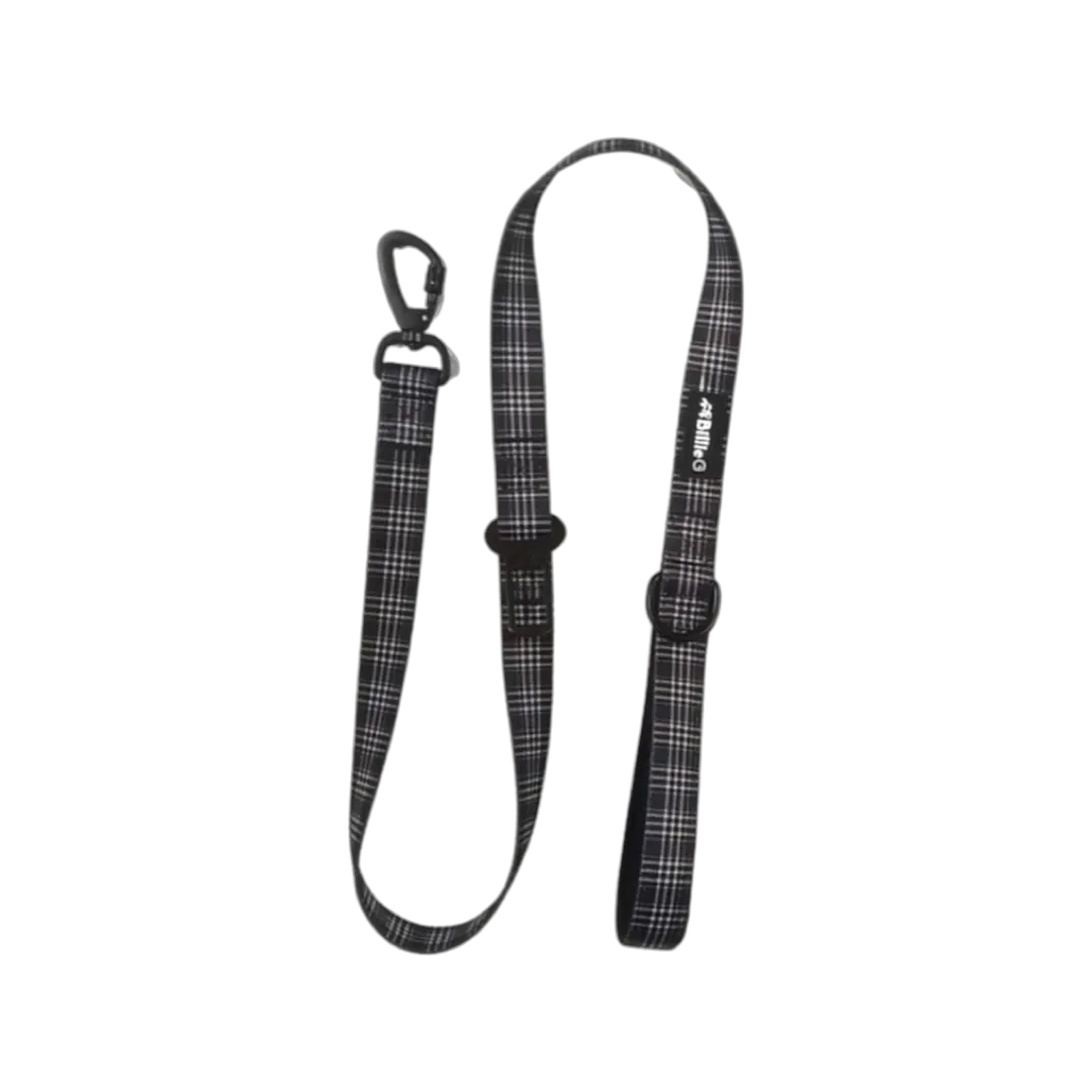 Stylish Nylon Dog Lead