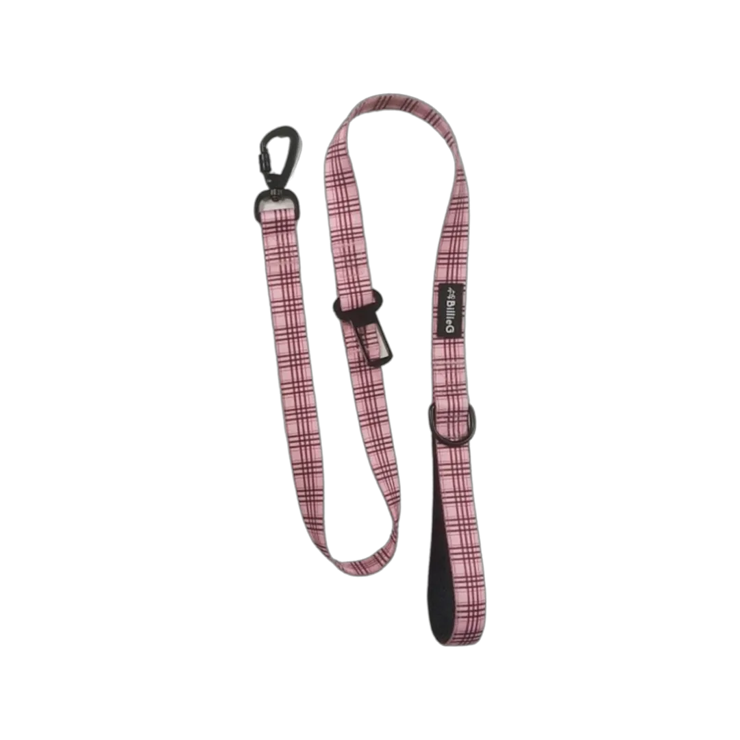 Stylish Nylon Dog Lead