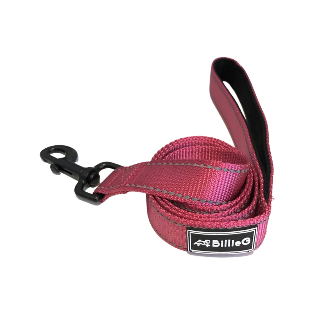 Stylish Nylon Dog Lead