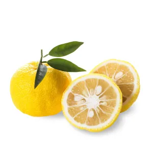Yuzu Fragrance Oil