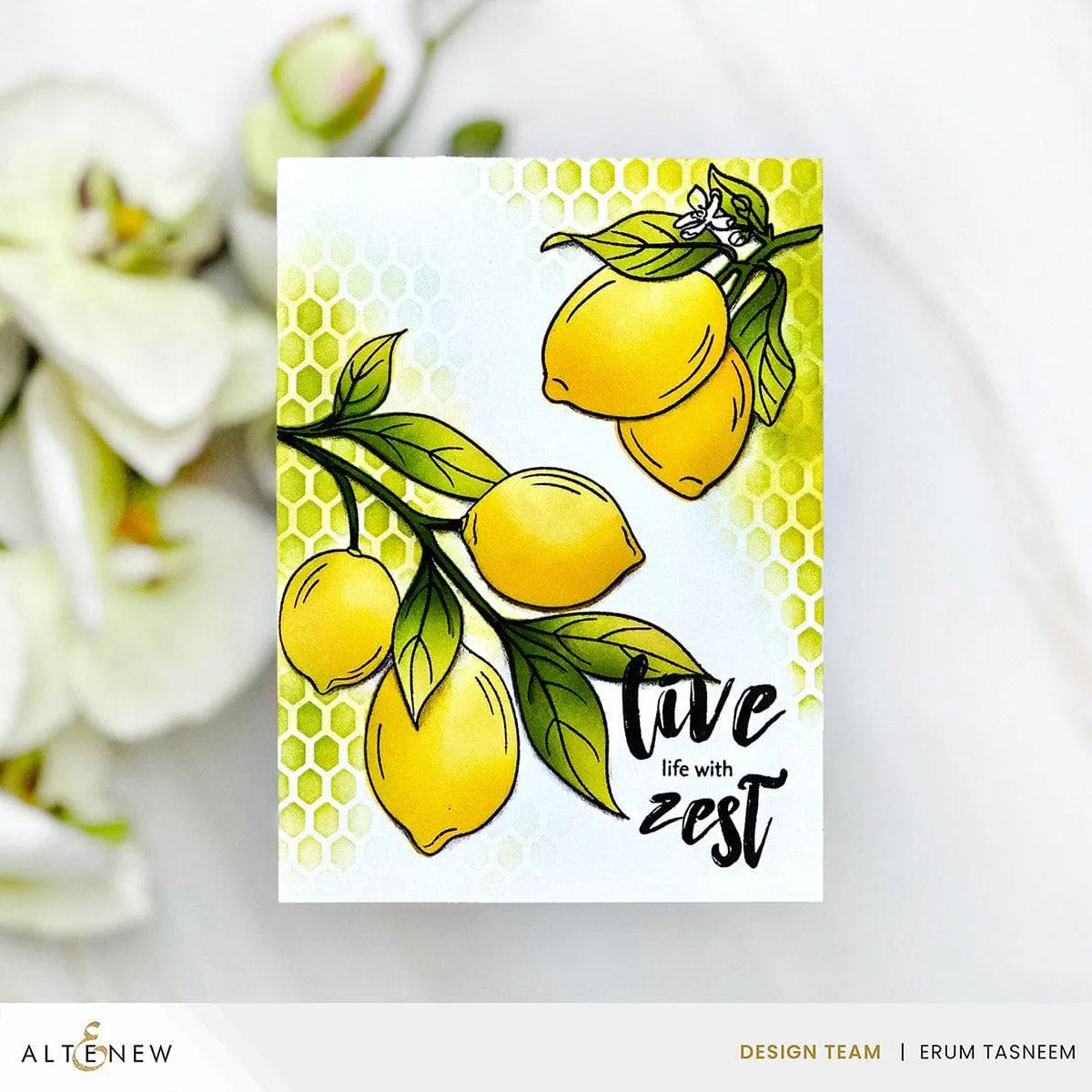 Zesty Life